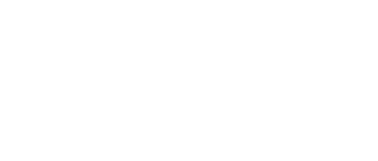 Icono Sección
